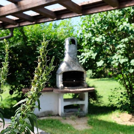 Gaestehaus Reingruber Ried im Traunkreis Εξωτερικό φωτογραφία